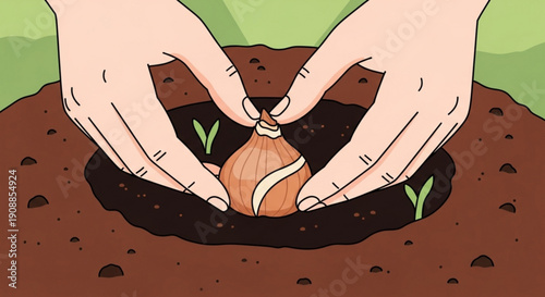 Hands planting bulb in soil with green sprouts growing