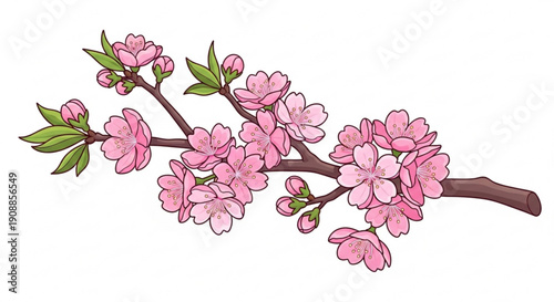 Pink cherry blossoms on a blooming tree branch with green leaves isolated