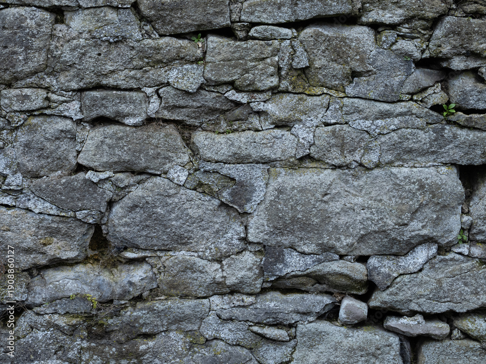 Fototapeta premium Weathered limestone wall texture with natural stone detail.