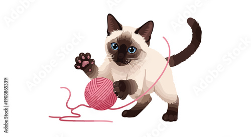 A Siamese cat playing with a ball of pink yarn on a white background.