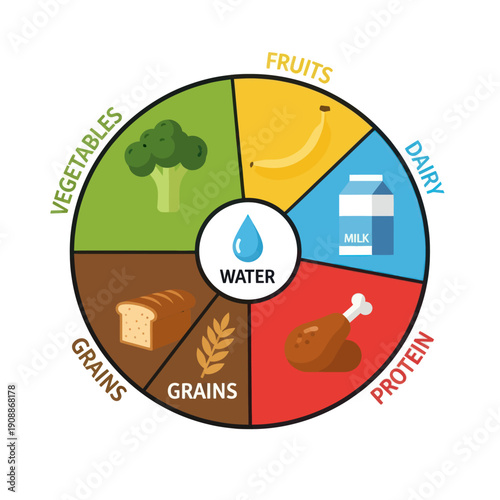 Healthy Eating Wheel with Food Groups and Water.