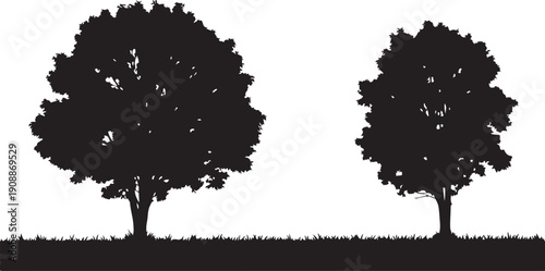 Silhouette of two trees on a white background landscape