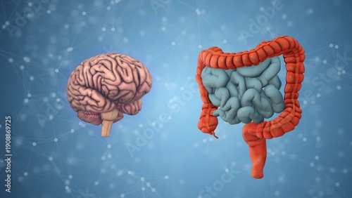 Gut Microbiome Interaction Within Brain Metabolic Axis