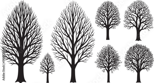 Collection of bare trees in various shapes and sizes