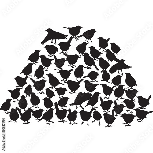 A large flock of small birds silhouetted against a white background, forming a mound shape.