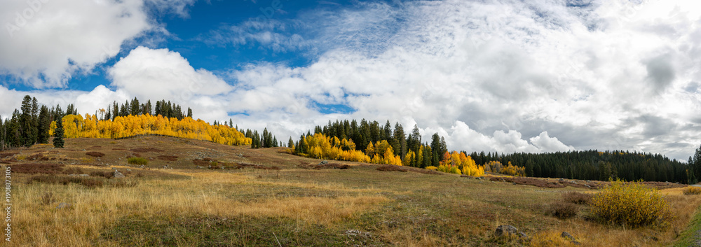 Fototapeta premium Grand Mesa Autumn Panoramic