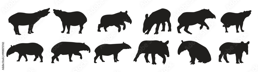 Obraz premium set tapir silhouette vector illustration