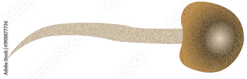 animal organ and parasite