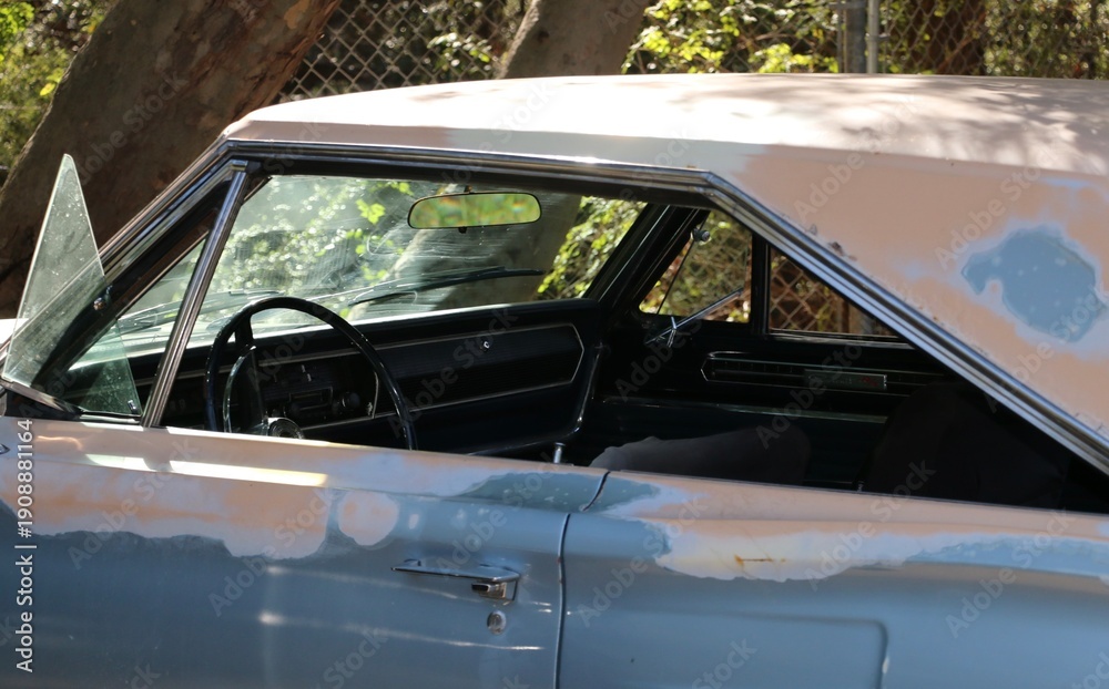 Fototapeta premium Classic car in green surrounding