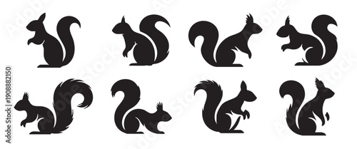 collection of squirrel silhouettes on white background