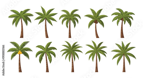 Collection of ten different tropical palm tree illustrations displaying various foliage and fruit styles