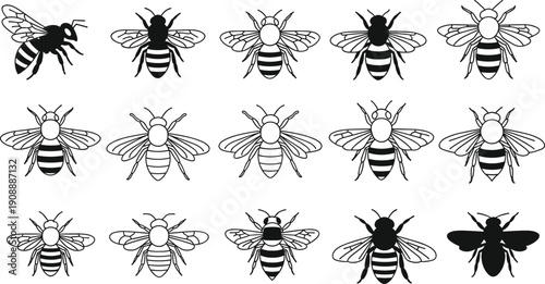 Bee silhouettes in varied wing patterns, insect vector illustration, decorative nature design, wildlife art motif, educational puzzle concept