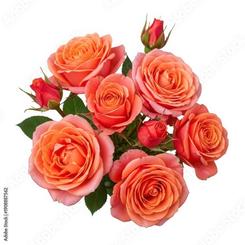 A Bouquet of Blossoms: A beautiful collection of vibrant orange roses in full bloom. The image evokes feelings of beauty, grace, and tranquility.