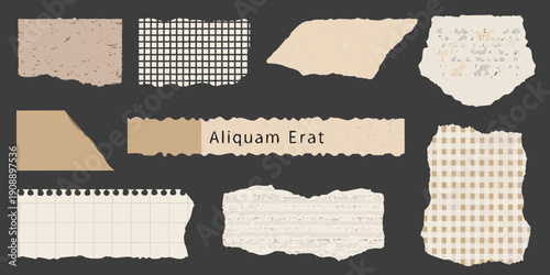 Collection of torn paper pieces with varied textures and patterns