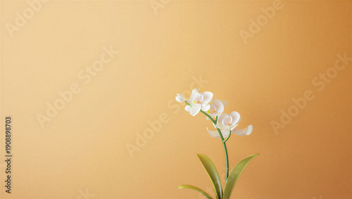 Delicate white orchid flowers on a warm, muted orange background