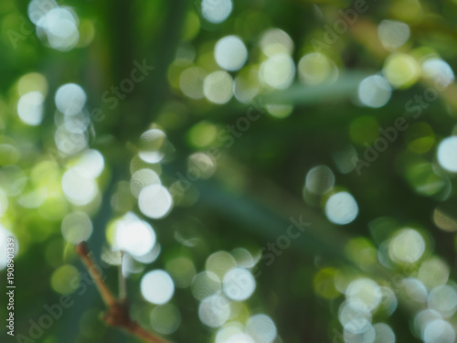 Soft blurred bamboo leaves creating a natural green background with gentle light and smooth bokeh. This minimalist botanical scene evokes calm, balance, and freshness
