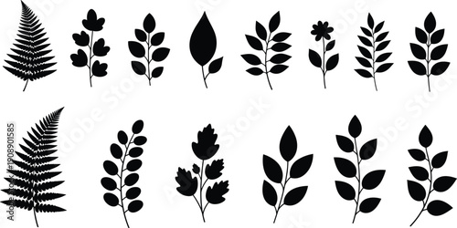 Botanical leaf silhouettes illustration set, fern and plant shapes collection, minimalist nature elements, floral icons, isolated white background, vector art
