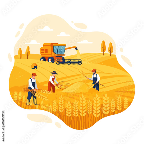Farmers Harvesting Wheat with Machinery.