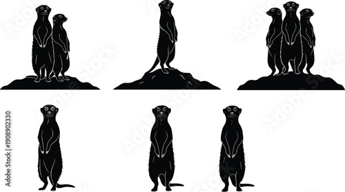 Meerkat silhouettes illustration set, standing wildlife animals collection, social behavior poses, desert mammal characters, isolated white background, vector art