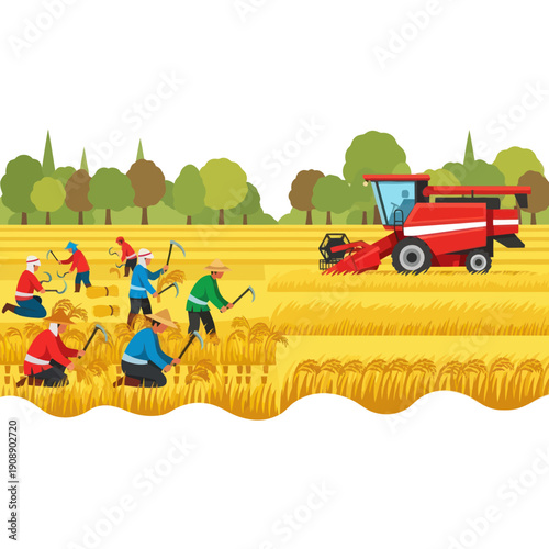Farmers Harvesting Crops with Combine Harvester.