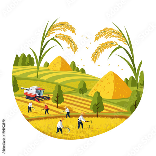 Farmers Working in Wheat Field Harvest.
