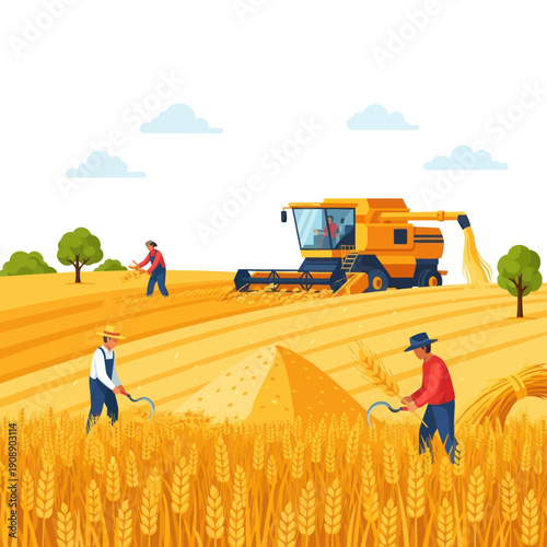 Farmers Harvesting Wheat with Combine Harvester.