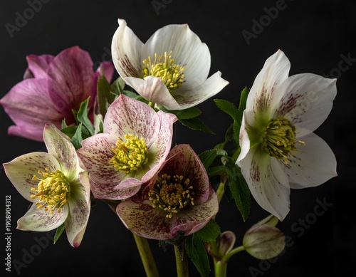 Delicate speckled and pink blooms with yellow centers