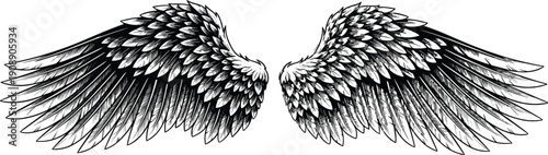 Black and white symmetrical wings drawing, detailed feather illustration artwork, angelic vector design, freedom spirituality motif, elegant flight graphic