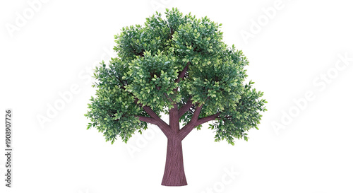 Green Leaf Tree