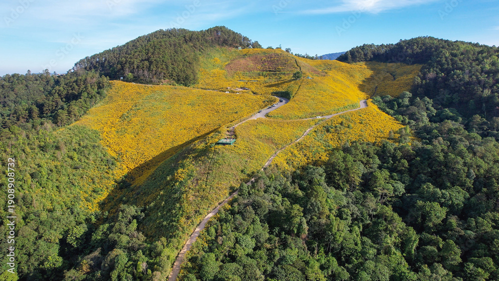 Fototapeta premium Aerial view of a mountain road along the Mexican sunflower field in Mae Hong Son, Thailand