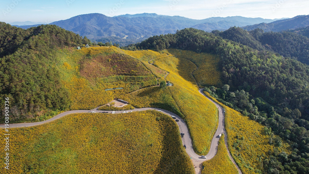 Fototapeta premium Aerial view of a mountain road along the Mexican sunflower field in Mae Hong Son, Thailand