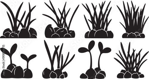 Black and white grass and seedling silhouettes in soil