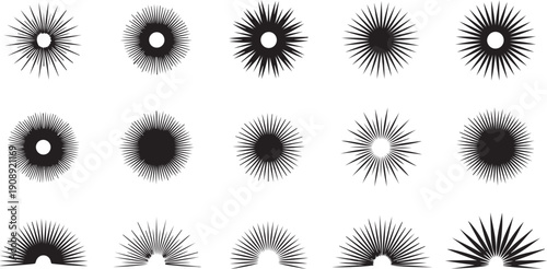 Black and white abstract sunburst pattern design elements