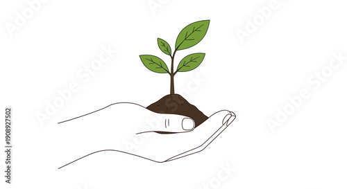 A delicate green sprout is cradled in a pair of hands symbolizing growth care and environmental responsibility high quality
