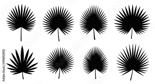 A collection of eight silhouetted palm leaves varying in shape and size arranged in a symmetrical grid pattern