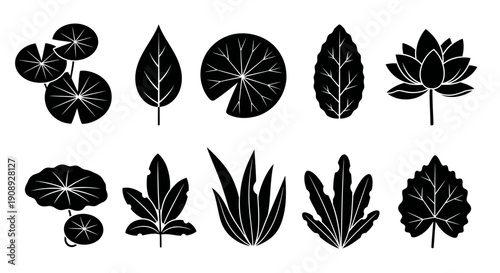 A collection of diverse black and white leaf illustrations arranged horizontally showcasing various botanical shapes and vein patterns