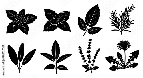 A collection of silhouetted leaves and botanical elements showcasing various plant shapes and textures in monochrome high quality professional