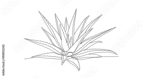 Single line drawing of an aloe vera plant