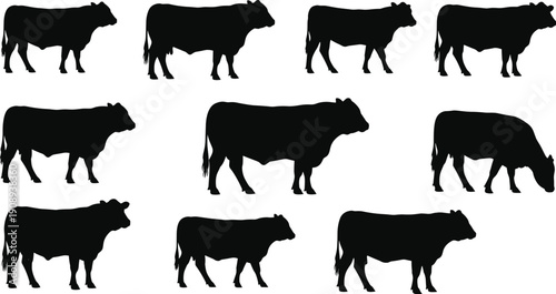 Collection of Black Cow Silhouettes in Various Poses on White Background Keywords: cow, cattle, silhouette, black, white