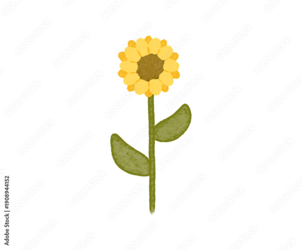 Fototapeta premium yellow sunflower isolated on white