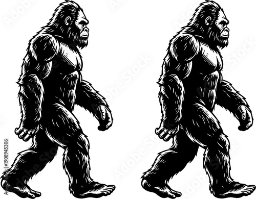 Bigfoot silhouette walking set, Sasquatch mythical creature in motion, legendary forest monster vector illustration for outdoors and mystery themes.