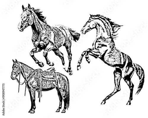 Dynamic horses in various poses, elegant black and white illustration