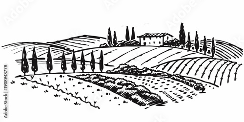 A sketched tuscan landscape with rolling hills cypress trees and a farmhouse