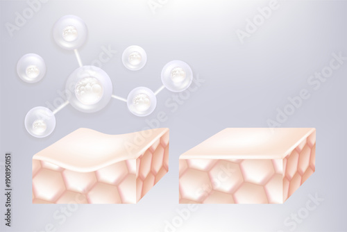 Hyaluronic acid and Niacinamide before and after skin solutions ad, white collagen serum drop with cosmetic advertising background ready to use, illustration vector.	