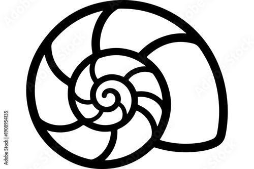 Geometric Spiral Shell Illustration