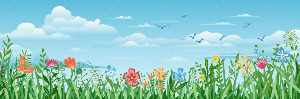 Obraz premium Spring summer landscape, blooming meadow against the backdrop of a blue sky with white clouds, cartoon vector illustration