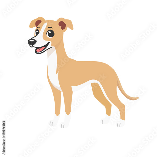 Whippet dog illustration in modern flat cartoon style, isolated on neutral background.