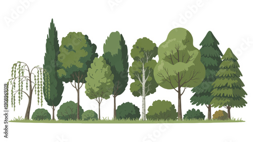 Diverse collection of various trees and green bushes creating a vibrant natural landscape illustration