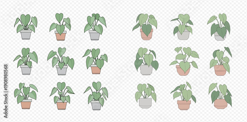 Collection of various potted houseplants with green leaves in different styles and pot colors.