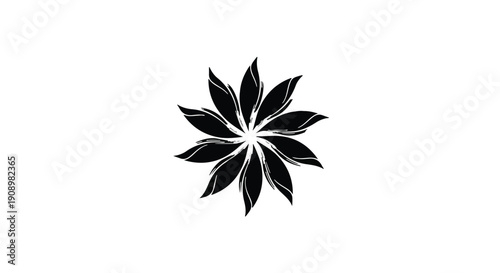 Elegant black star anise flower pattern on a clean white background